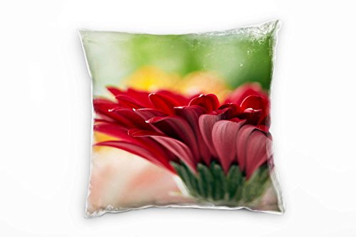 Paul Sinus Art Macro, Blumen, Blütenblätter, rot, grün, orange Deko Kissen 40x40cm für Couch Sofa Lounge Zierkissen - Dekoration zum Wohlfühlen von Paul Sinus Art