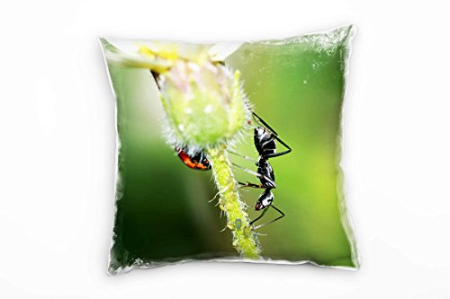 Paul Sinus Art Macro, Tiere, Ameise, Blüte, grün, weiß Deko Kissen 40x40cm für Couch Sofa Lounge Zierkissen - Dekoration zum Wohlfühlen von Paul Sinus Art