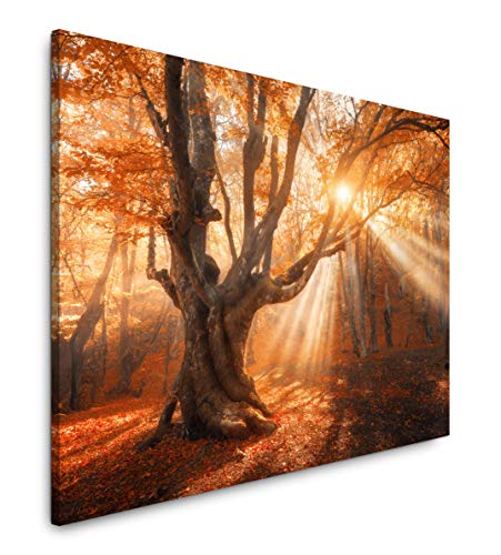 Paul Sinus Art Magischer alter Baum 120x 80cm Inspirierende Fotokunst in Museums-Qualität für Ihr Zuhause als Wandbild auf Leinwand in von Paul Sinus Art