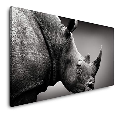 Paul Sinus Art Nashorn 120x 60cm Panorama Leinwand Bild XXL Format Wandbilder Wohnzimmer Wohnung Deko Kunstdrucke von Paul Sinus Art