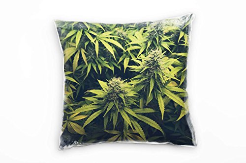 Paul Sinus Art Natur, Cannabis, Marihuana, grün Deko Kissen 40x40cm für Couch Sofa Lounge Zierkissen - Dekoration zum Wohlfühlen von Paul Sinus Art