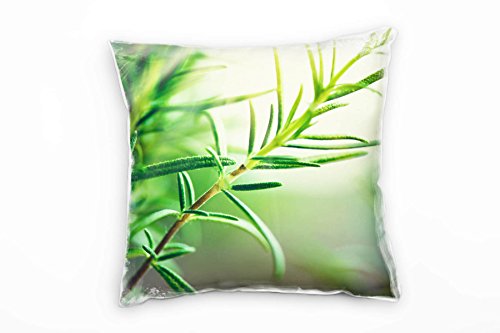 Paul Sinus Art Natur, Gewürz, Rosmarin, grün Deko Kissen 40x40cm für Couch Sofa Lounge Zierkissen - Dekoration zum Wohlfühlen von Paul Sinus Art