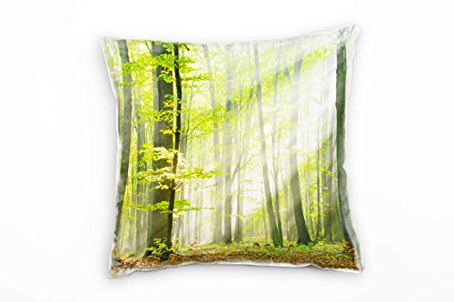 Paul Sinus Art Natur, grün, braun, lichtdurchfluteter Wald Deko Kissen 40x40cm für Couch Sofa Lounge Zierkissen - Dekoration zum Wohlfühlen von Paul Sinus Art