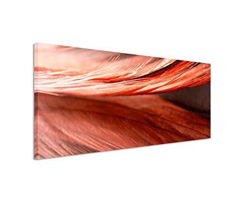 Paul Sinus Art Panoramabild 150x50cm Naturfotografie – Rot orange Nahaufnahme Einer Feder auf Leinwand Exklusives Wandbild Moderne Fotografie für ihre Wand in vielen Größen von Paul Sinus Art