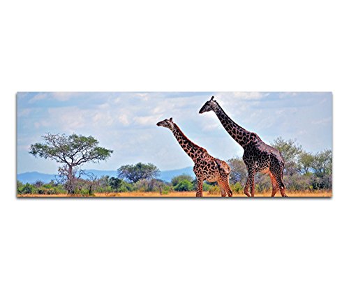 Paul Sinus Art Panoramabild XXL auf Leinwand und Keilrahmen 180x70cm Afrika Elefant Großaufnahme von Paul Sinus Art