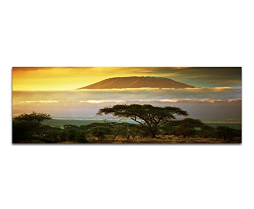 Paul Sinus Art Panoramabild XXL auf Leinwand und Keilrahmen 180x70cm Afrika Kilimandscharo Sonnenuntergang Natur von Paul Sinus Art