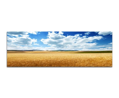 Paul Sinus Art Panoramabild XXL auf Leinwand und Keilrahmen 180x70cm Italien Toskana Kornfeld Wolken Himmel von Paul Sinus Art
