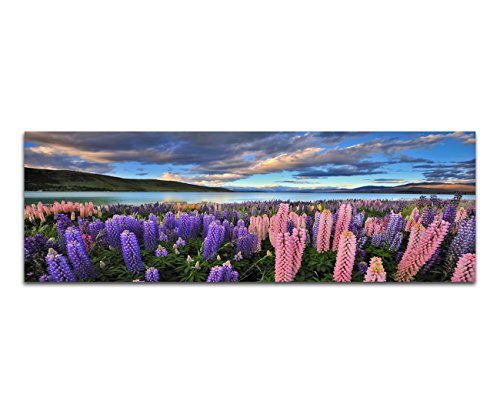 Paul Sinus Art Panoramabild auf Leinwand und Keilrahmen 120x40cm Neuseeland Blumenwiese Berge See Natur von Paul Sinus Art