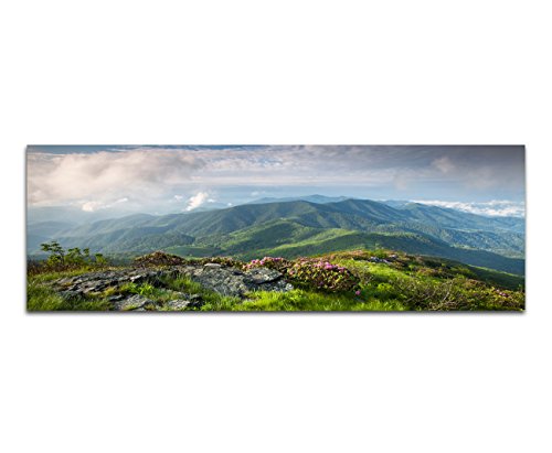 Paul Sinus Art Panoramabild auf Leinwand und Keilrahmen 150x50cm Landschaft Berge Wiese Wolkenhimmel Natur von Paul Sinus Art