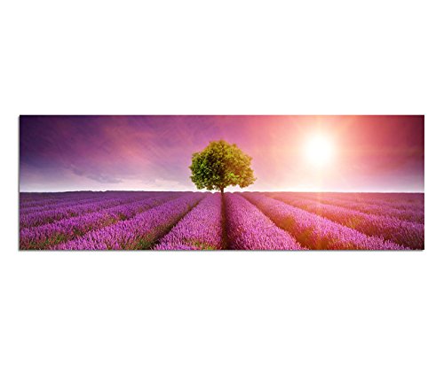 Paul Sinus Art Panoramabild auf Leinwand und Keilrahmen 150x50cm Lavendelfeld Baum Sommer Sonnenuntergang von Paul Sinus Art