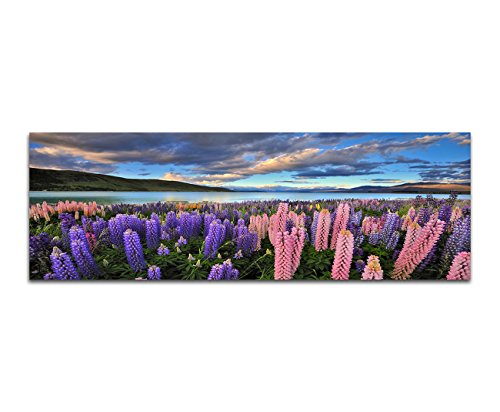 Paul Sinus Art Panoramabild auf Leinwand und Keilrahmen 150x50cm Neuseeland Blumenwiese Berge See Natur von Paul Sinus Art
