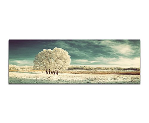 Paul Sinus Art Panoramabild auf Leinwand und Keilrahmen 150x50cm Winterlandschaft Wiese Baum Schnee Wolken von Paul Sinus Art