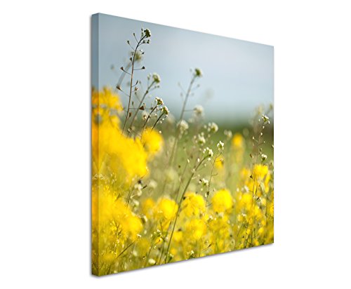 Paul Sinus Art Quadratische Fotoleinwand 90x90cm Landschaftsfotografie – Wiese mit gelben Blumen auf Leinwand Exklusives Wandbild Moderne Fotografie für ihre Wand in vielen Größen von Paul Sinus Art