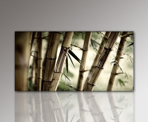 Paul Sinus Art TOP Wandbild Bambusbild Feng Shui grün (bambus-100x50cm) Bilder fertig gerahmt mit Keilrahmen riesig. Ausführung Kunstdruck auf Leinwand. Günstig inkl Rahmen von Paul Sinus Art