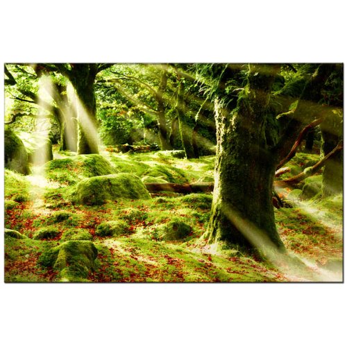 Paul Sinus Art (Morning Sun 110x80cm) Kunstdruck Wald MORGENSONNE grün Bilder fertig gerahmt auf Holzrahmen riesig. Ausführung Kunstdruck auf Leinwand von Paul Sinus Art