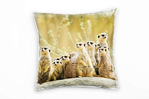 Paul Sinus Art Tiere, braun, grün, Erdmännchen, Afrika, Wildnis Deko Kissen 40x40cm für Couch Sofa Lounge Zierkissen - Dekoration zum Wohlfühlen von Paul Sinus Art