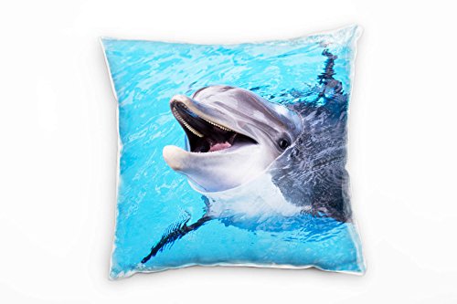 Paul Sinus Art Tiere, Delfin, Wasser, grau, blau Deko Kissen 40x40cm für Couch Sofa Lounge Zierkissen - Dekoration zum Wohlfühlen von Paul Sinus Art