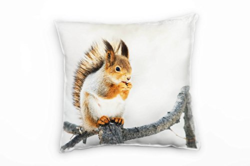 Paul Sinus Art Tiere, Eichhörnchen, orange, braun, weiß Deko Kissen 40x40cm für Couch Sofa Lounge Zierkissen - Dekoration zum Wohlfühlen von Paul Sinus Art