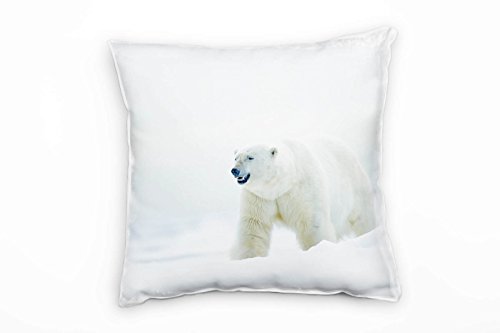 Paul Sinus Art Tiere, Eisbär, Schnee, weiß, grau Deko Kissen 40x40cm für Couch Sofa Lounge Zierkissen - Dekoration zum Wohlfühlen von Paul Sinus Art