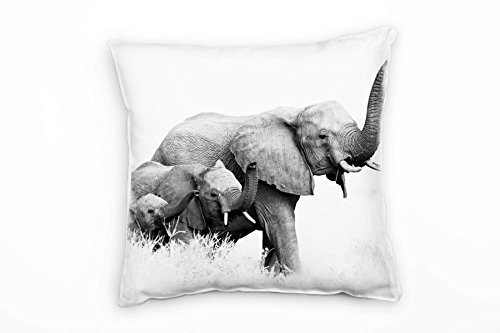Paul Sinus Art Tiere, Elefanten, grau, weiß Deko Kissen 40x40cm für Couch Sofa Lounge Zierkissen - Dekoration zum Wohlfühlen von Paul Sinus Art