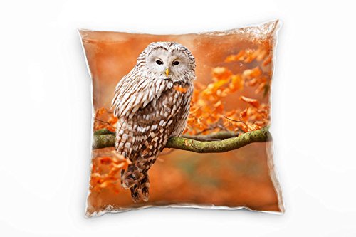 Paul Sinus Art Tiere, Eule, braun, orange Deko Kissen 40x40cm für Couch Sofa Lounge Zierkissen - Dekoration zum Wohlfühlen von Paul Sinus Art