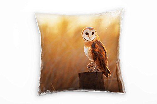 Paul Sinus Art Tiere, Eule, Sonnenuntergang, braun, orange Deko Kissen 40x40cm für Couch Sofa Lounge Zierkissen - Dekoration zum Wohlfühlen Paul Sinus Art Tiere, Eule, Sonnenuntergang, braun, orange Deko Kissen 40x40cm für Couch Sofa Lounge Zierkissen - Dekoration zum Wohlfühlen von Paul Sinus Art