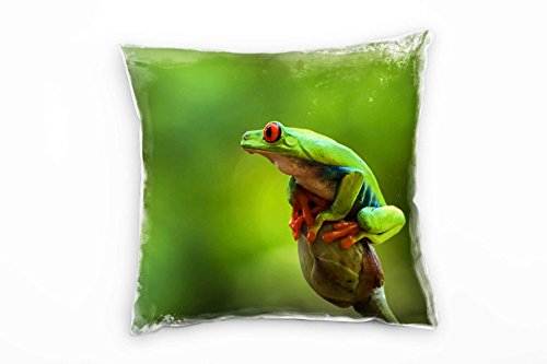 Paul Sinus Art Tiere, Frosch, grün, orange Deko Kissen 40x40cm für Couch Sofa Lounge Zierkissen - Dekoration zum Wohlfühlen von Paul Sinus Art