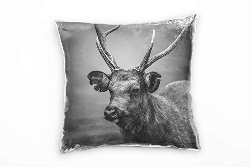 Paul Sinus Art Tiere, Hirsch, grau Deko Kissen 40x40cm für Couch Sofa Lounge Zierkissen - Dekoration zum Wohlfühlen von Paul Sinus Art