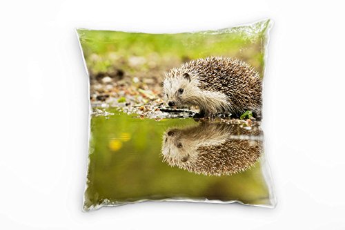 Paul Sinus Art Tiere, Igel, Spiegelung, braun, grün Deko Kissen 40x40cm für Couch Sofa Lounge Zierkissen - Dekoration zum Wohlfühlen von Paul Sinus Art