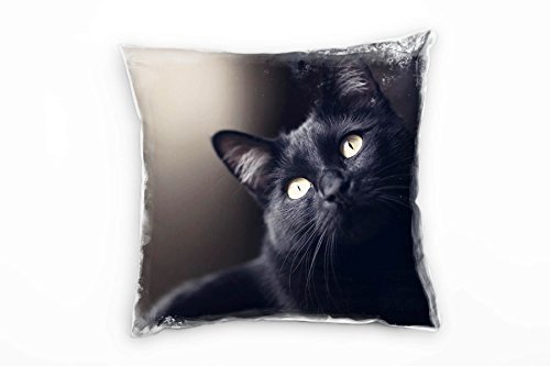 Paul Sinus Art Tiere, Katze, grüne Augen, schwarz Deko Kissen 40x40cm für Couch Sofa Lounge Zierkissen - Dekoration zum Wohlfühlen von Paul Sinus Art