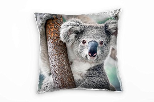 Paul Sinus Art Tiere, Koalabär am AST, braun, grau Deko Kissen 40x40cm für Couch Sofa Lounge Zierkissen - Dekoration zum Wohlfühlen von Paul Sinus Art