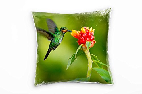 Paul Sinus Art Tiere, Kolibri, Blume, grün, rot Deko Kissen 40x40cm für Couch Sofa Lounge Zierkissen - Dekoration zum Wohlfühlen von Paul Sinus Art