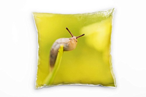 Paul Sinus Art Tiere, Nacktschnecke, braun, grün Deko Kissen 40x40cm für Couch Sofa Lounge Zierkissen - Dekoration zum Wohlfühlen von Paul Sinus Art