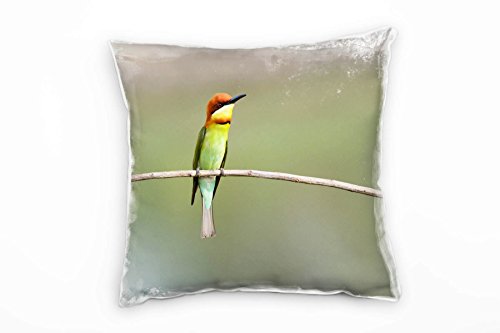 Paul Sinus Art Tiere, Vogel, Bienenesser, grün, orange Deko Kissen 40x40cm für Couch Sofa Lounge Zierkissen - Dekoration zum Wohlfühlen von Paul Sinus Art