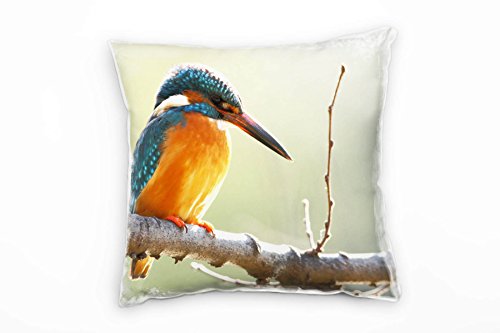 Paul Sinus Art Tiere, Vogel, Eisvogel, orange, türkis Deko Kissen 40x40cm für Couch Sofa Lounge Zierkissen - Dekoration zum Wohlfühlen von Paul Sinus Art