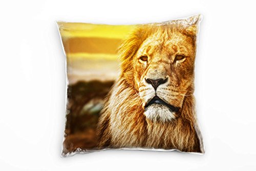 Paul Sinus Art Tiere, braun, Löwe, Portrait, Afrika Deko Kissen 40x40cm für Couch Sofa Lounge Zierkissen - Dekoration zum Wohlfühlen von Paul Sinus Art