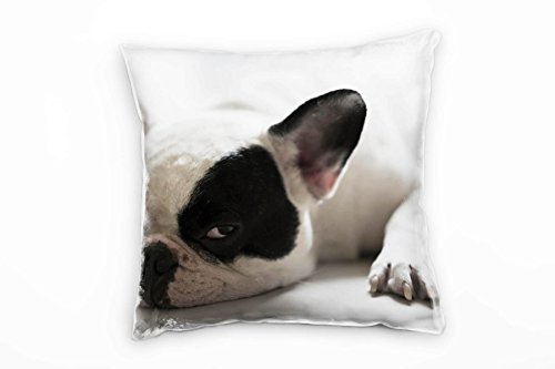 Paul Sinus Art Tiere, französische Bulldogge, weiß, schwarz Deko Kissen 40x40cm für Couch Sofa Lounge Zierkissen - Dekoration zum Wohlfühlen von Paul Sinus Art