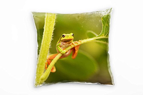 Paul Sinus Art Tiere, grün, orange, Frosch hängend am Blatt Deko Kissen 40x40cm für Couch Sofa Lounge Zierkissen - Dekoration zum Wohlfühlen von Paul Sinus Art