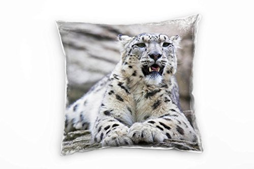 Paul Sinus Art Tiere, junger Schneeleopard auf Felsen, braun Deko Kissen 40x40cm für Couch Sofa Lounge Zierkissen - Dekoration zum Wohlfühlen von Paul Sinus Art