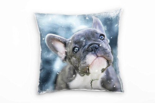 Paul Sinus Art Tiere, kleine französische Bulldogge, grau, weiß Deko Kissen 40x40cm für Couch Sofa Lounge Zierkissen - Dekoration zum Wohlfühlen von Paul Sinus Art