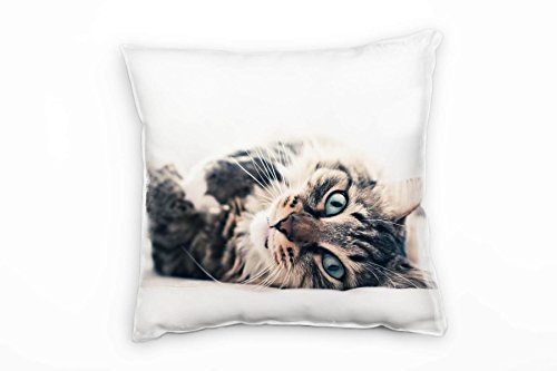 Paul Sinus Art Tiere, liegende Katze, grau, weiß Deko Kissen 40x40cm für Couch Sofa Lounge Zierkissen - Dekoration zum Wohlfühlen von Paul Sinus Art