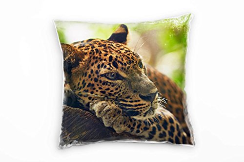 Paul Sinus Art Tiere, liegender Leopard, braun, grün Deko Kissen 40x40cm für Couch Sofa Lounge Zierkissen - Dekoration zum Wohlfühlen von Paul Sinus Art