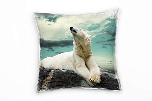 Paul Sinus Art Tiere, weiß, grau, türkis, Eisbär auf der Felsen Deko Kissen 40x40cm für Couch Sofa Lounge Zierkissen - Dekoration zum Wohlfühlen von Paul Sinus Art