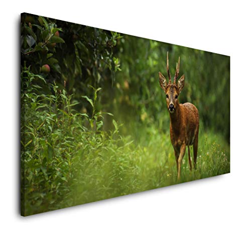 Paul Sinus Art Wald Atmosphäre 120x 60cm Panorama Leinwand Bild XXL Format Wandbilder Wohnzimmer Wohnung Deko Kunstdrucke von Paul Sinus Art