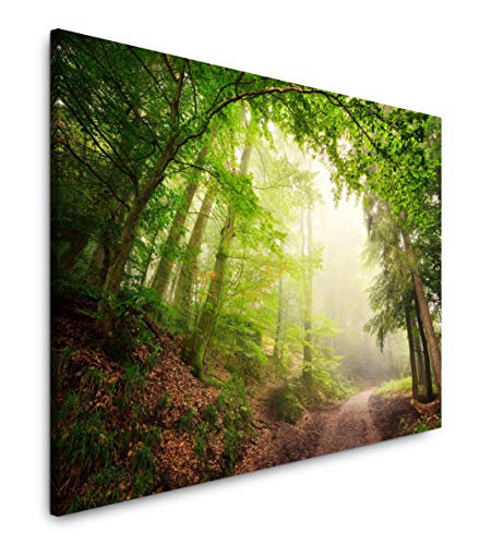 Paul Sinus Art Wald mit Waldweg 150 x 100 cm Inspirierende Fotokunst in Museums-Qualität für Ihr Zuhause als Wandbild auf Leinwand in XXL Format von Paul Sinus Art