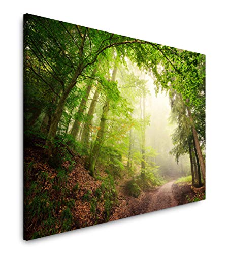 Paul Sinus Art Wald mit Waldweg 150 x 100 cm Inspirierende Fotokunst in Museums-Qualität für Ihr Zuhause als Wandbild auf Leinwand in XXL Format Paul Sinus Art Wald mit Waldweg 150 x 100 cm Inspirierende Fotokunst in Museums-Qualität für Ihr Zuhause als Wandbild auf Leinwand in XXL Format von Paul Sinus Art