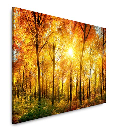 Paul Sinus Art Waldpanorama mit Sonne Tag im Herbst 180 x 120 cm Inspirierende Fotokunst in Museums-Qualität für Ihr Zuhause als Wandbild auf Leinwand in XXL Format Paul Sinus Art Waldpanorama mit Sonne Tag im Herbst 180 x 120 cm Inspirierende Fotokunst in Museums-Qualität für Ihr Zuhause als Wandbild auf Leinwand in XXL Format von Paul Sinus Art