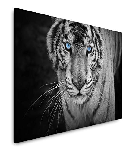 Paul Sinus Art Weißer Tiger 150 x 100 cm Inspirierende Fotokunst in Museums-Qualität für Ihr Zuhause als Wandbild auf Leinwand in XXL Format von Paul Sinus Art