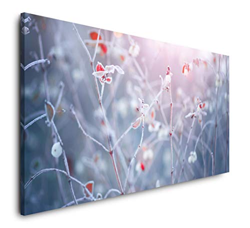 Paul Sinus Art Winter Natur Hintergrund 120x 60cm Panorama Leinwand Bild XXL Format Wandbilder Wohnzimmer Wohnung Deko Kunstdrucke von Paul Sinus Art