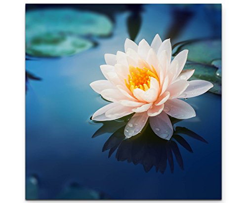 Paul Sinus Art Wunderschöne LotusblüteLeinwandbild quadratisch 60x60cm von Paul Sinus Art